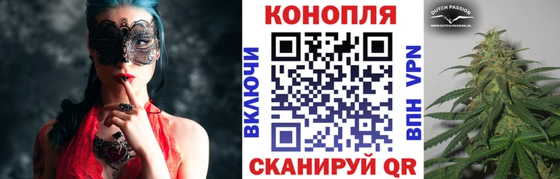 Бошки марихуана сатива сайты даркнета формула Рыльск